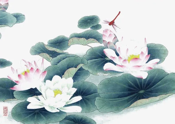 荷塘蜻蜓免抠