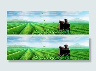 茶园茶叶文化banner素材