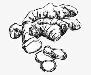 卡通生姜片免抠