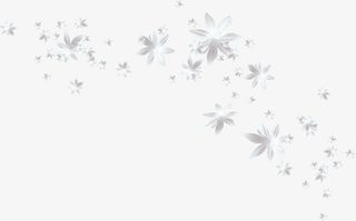 漂浮白色花朵免抠