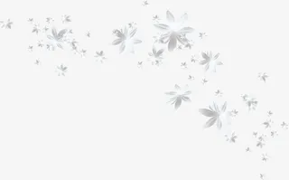 漂浮白色花朵免抠