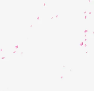 情人节花瓣装饰素材免抠