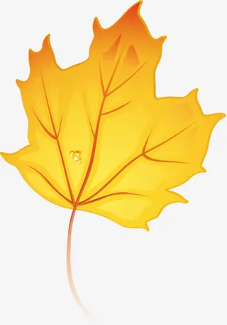 卡通黄色渐变枫叶免抠