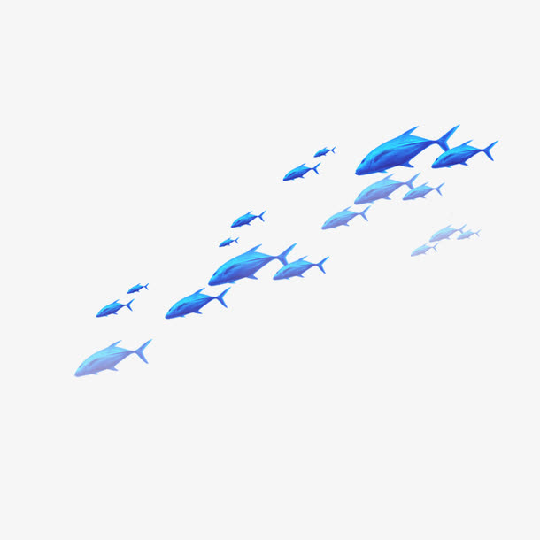 鱼群免抠