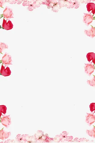 314白色情人节小清新玫瑰花边免抠