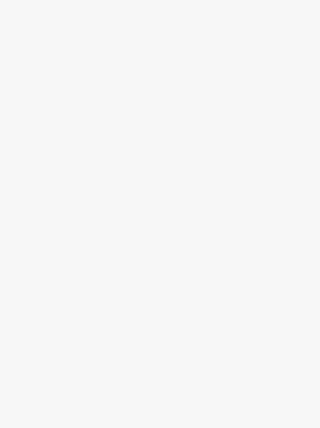 白色简约星星免抠