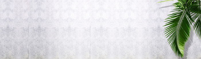 海报背景绿叶纹理高清