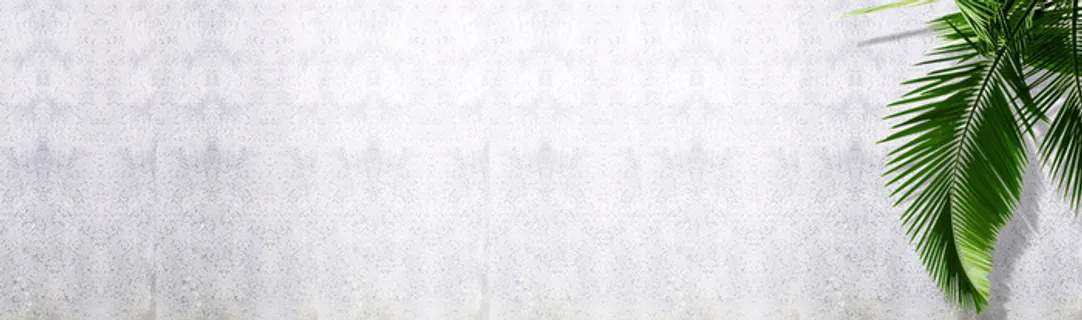 海报背景绿叶纹理高清