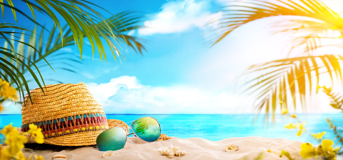 海边summer椰子树叶 草帽 沙滩背景高清