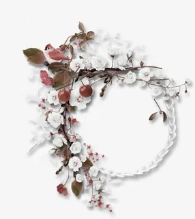 白色清新花圈边框纹理免抠