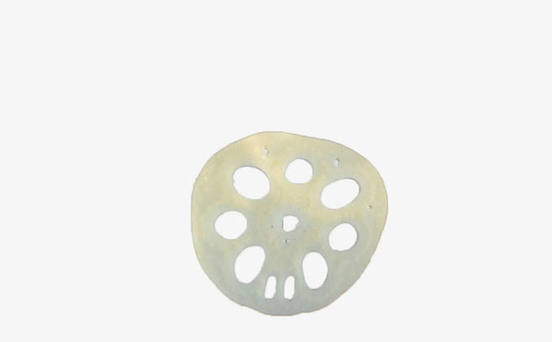 白色藕片免抠