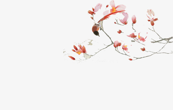 鸟免抠