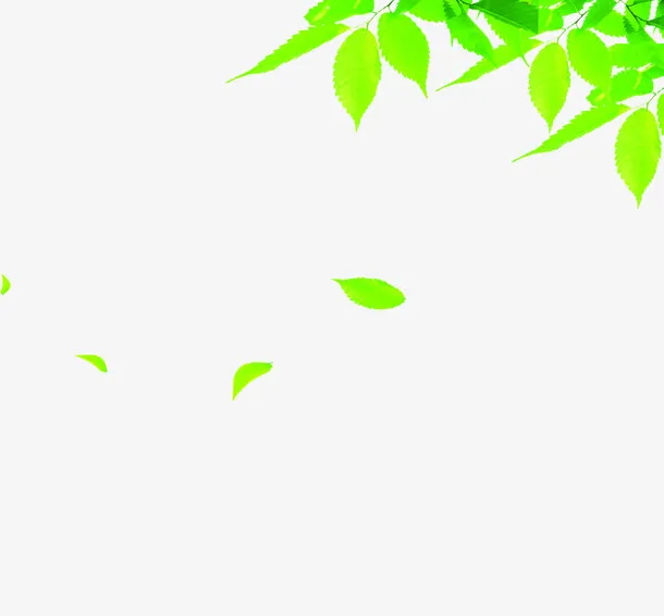 绿色春季漂浮绿叶树叶树枝免抠