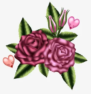 红色玫瑰免抠