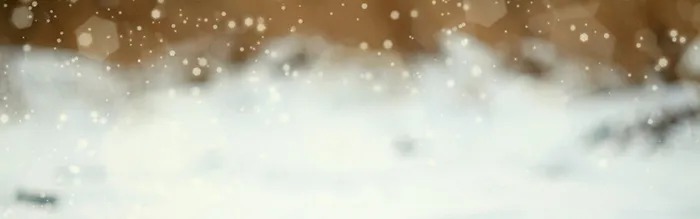 雪高清