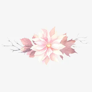 手绘花卉花朵装饰免抠