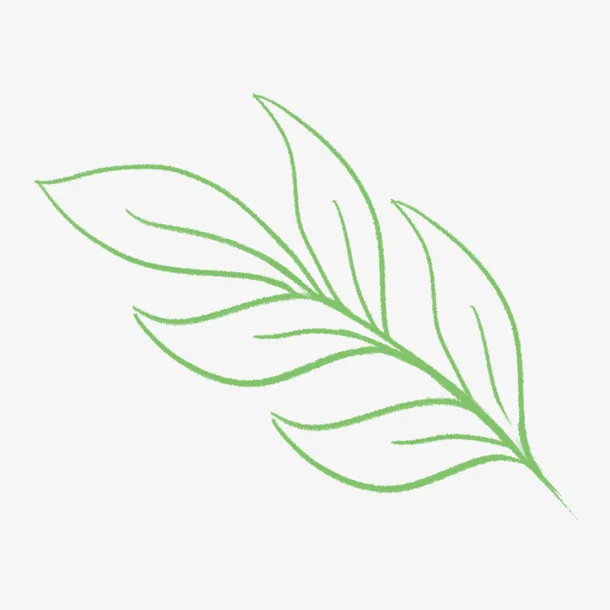 绿色线条树叶免抠图免抠
