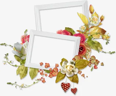 白色边框花边免抠