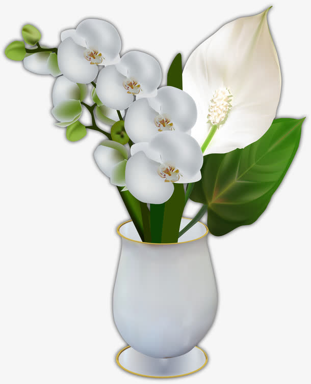白色插花免抠