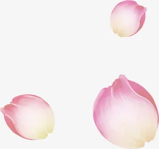 飘舞粉色白色花瓣免抠