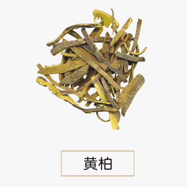 黄柏免抠
