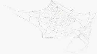 蜘蛛网蜘蛛网卡通免抠