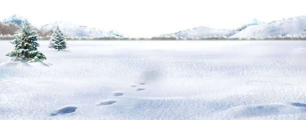 雪地和树木免抠