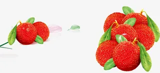 新鲜杨梅免抠