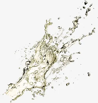 香槟水花派对主题免抠