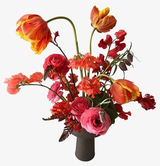 色彩鲜艳的花免抠