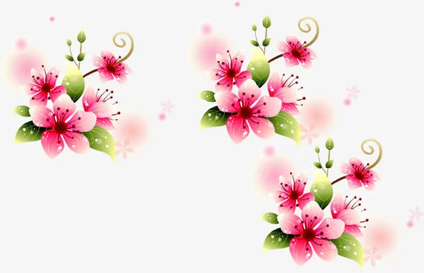 粉色淡雅唯美花朵装饰母亲节节日免抠