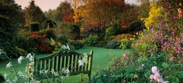 秋冬摄影唯美背景高清