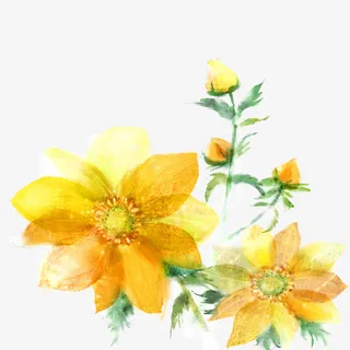 绘制花瓣图案之一免抠