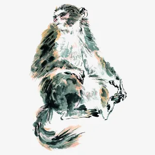 中国风一只彩绘水墨猿猴免抠免抠 中国风一只彩绘水墨猿猴免抠免抠