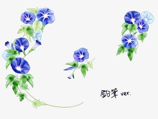 花藤牵牛花免抠