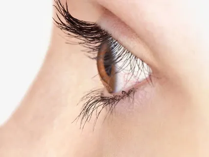 眼睛侧面免抠 眼睛侧面免抠