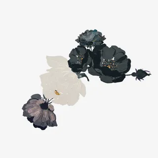 手绘黑色玫瑰免抠