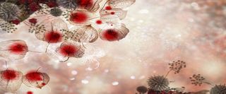 手绘简约花朵背景高清