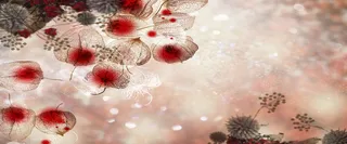 手绘简约花朵背景高清