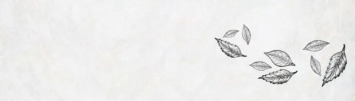 素描树叶背景图高清