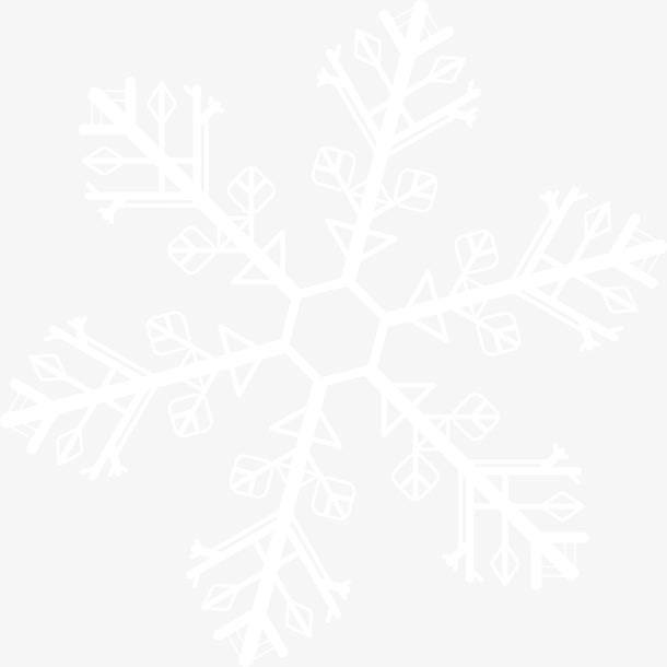 白色冬日美丽雪花免抠