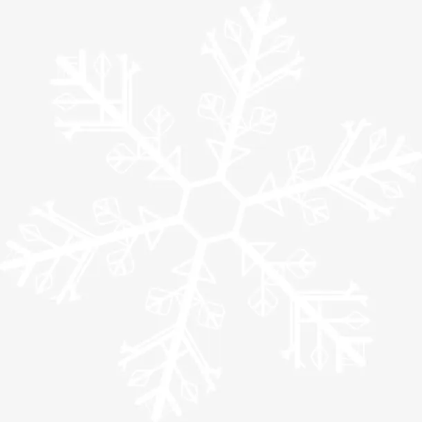 白色冬日美丽雪花免抠