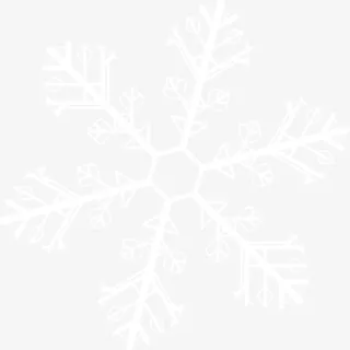 白色冬日美丽雪花免抠