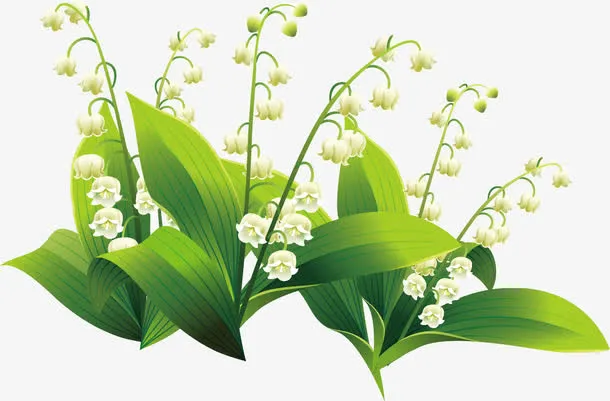 春暖花开免抠