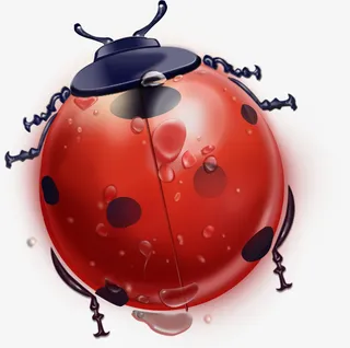 手绘插画卡通七星瓢虫免抠