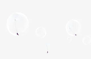 气泡蒲公英漂浮素材免抠