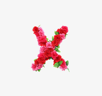 x英文字母花朵元素免抠