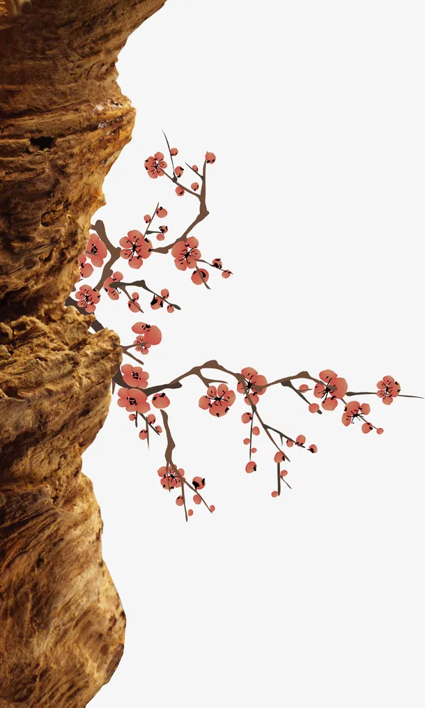 梅花素材免抠