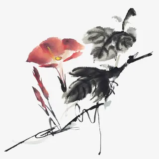 中国风水墨牵牛花免抠 中国风水墨牵牛花免抠