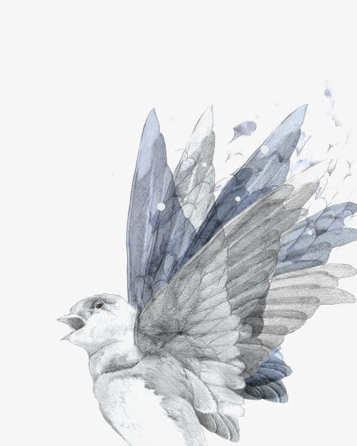 水彩鸽子免抠
